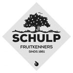 Schulp